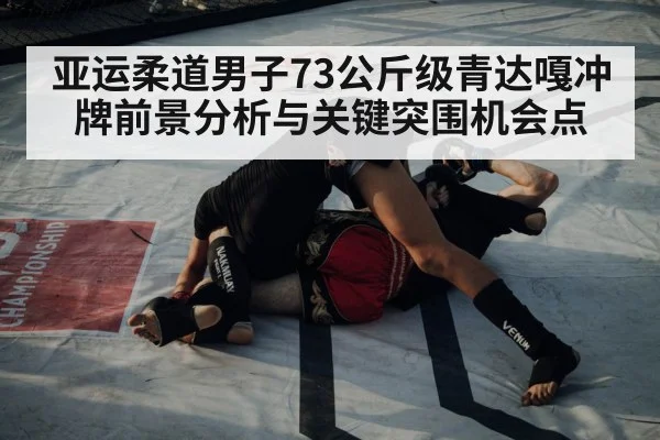 judo competition match